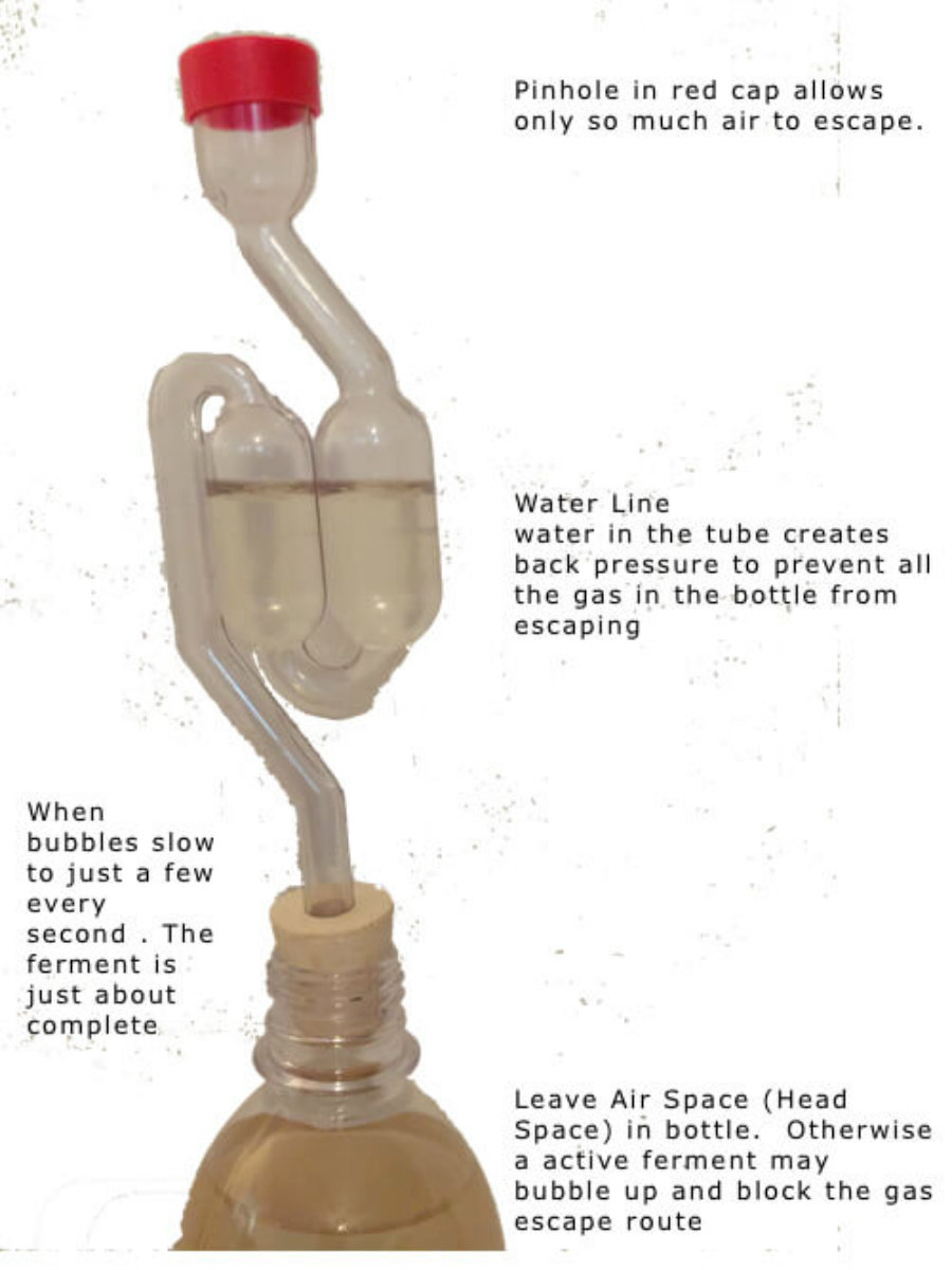 airlock-bottle-copy.jpg