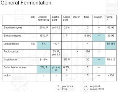 kombucha mushroom scoby gallery whats good whats not fermentation temperature chart
