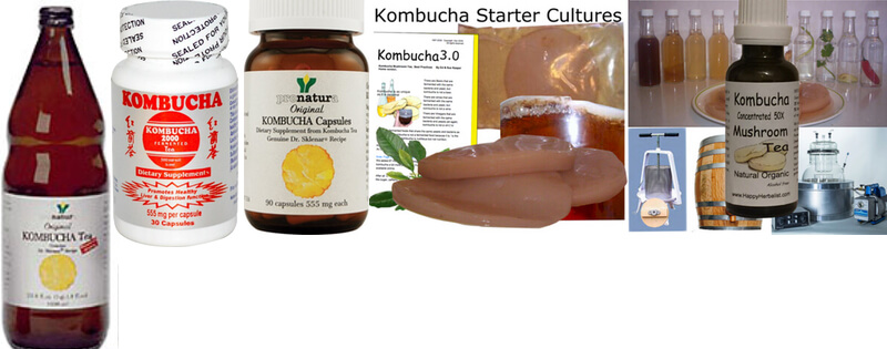 kombucha-mushroom-tea-convenient-and-ready-for-you.jpg