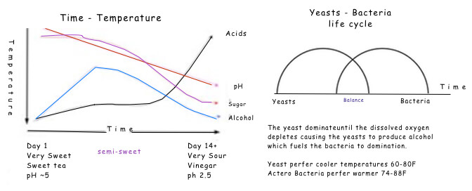 Yeast Temperature Chart